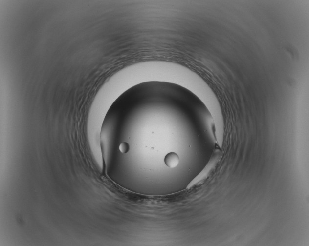 X0000113090223200909251017
