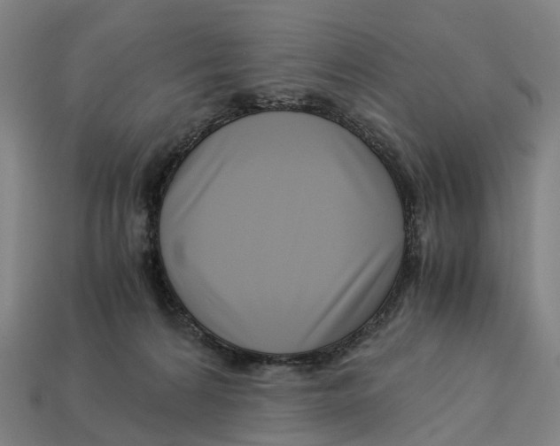 X0000113090224200909251017