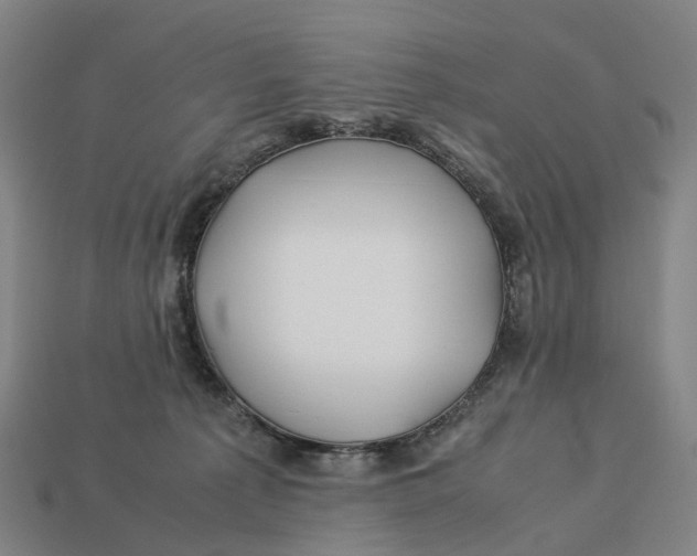 X0000113090225200909251017