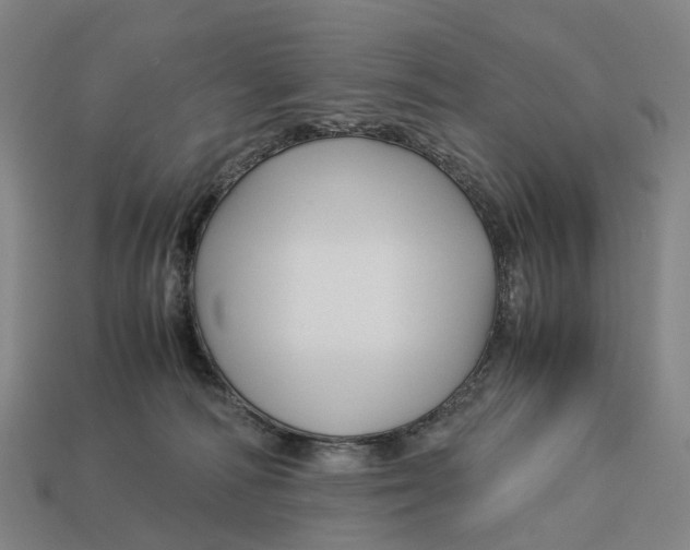 X0000113090226200909251017