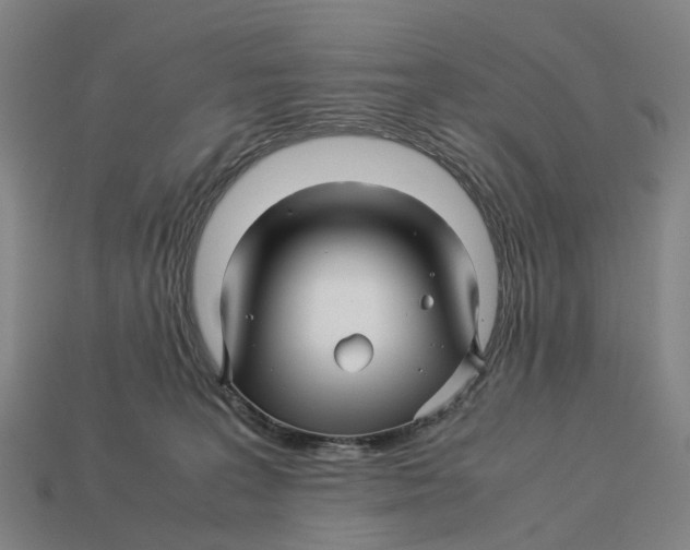 X0000113090227200909251017