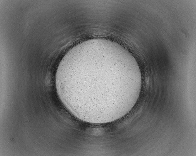 X0000113090228200909251017