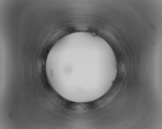 X0000113090229200909251017