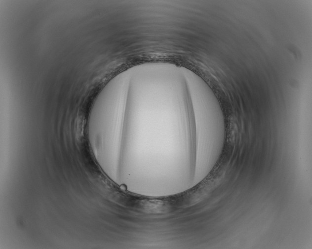 X0000113090230200909251017