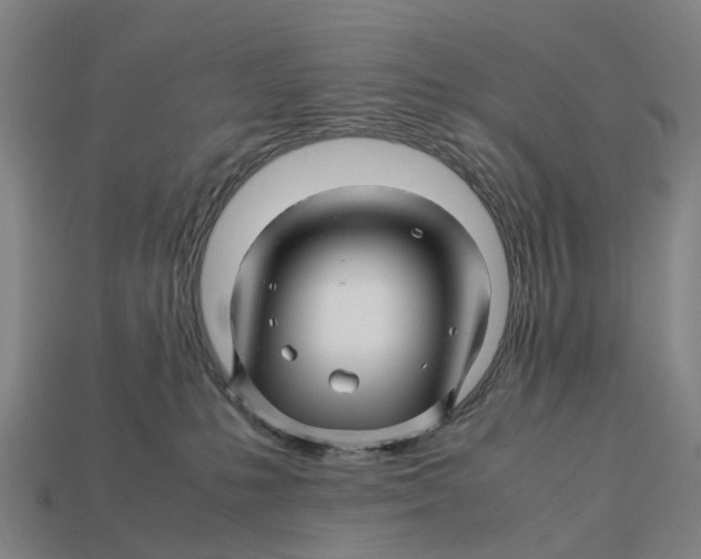 X0000113090231200909251017