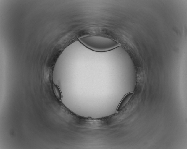 X0000113090233200909251017