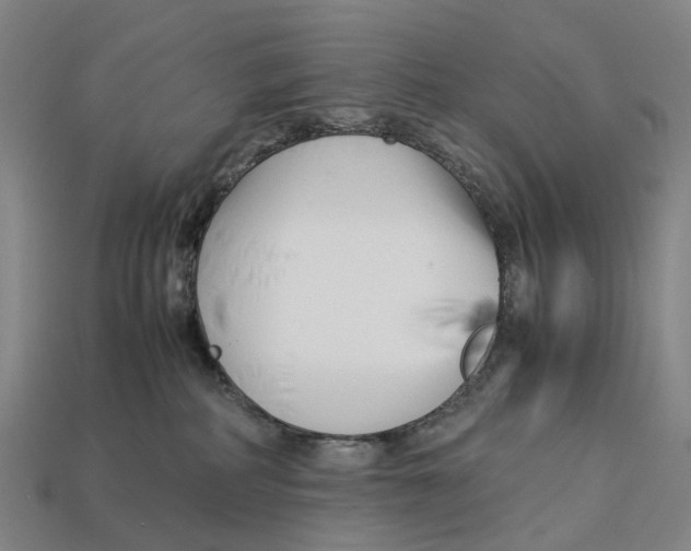 X0000113090234200909251017