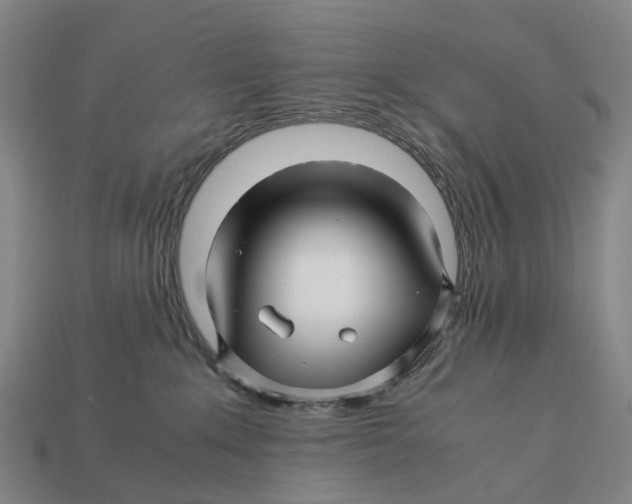 X0000113090235200909251017