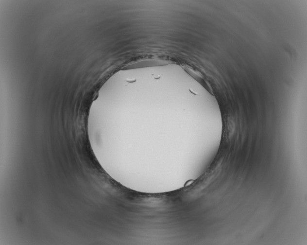 X0000113090236200909251017