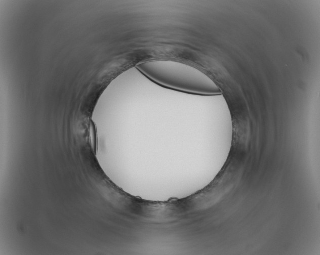 X0000113090237200909251017