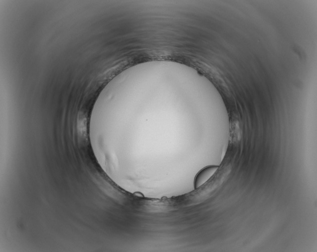 X0000113090238200909251017