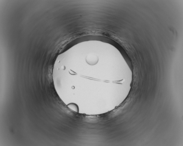 X0000113090240200909251017