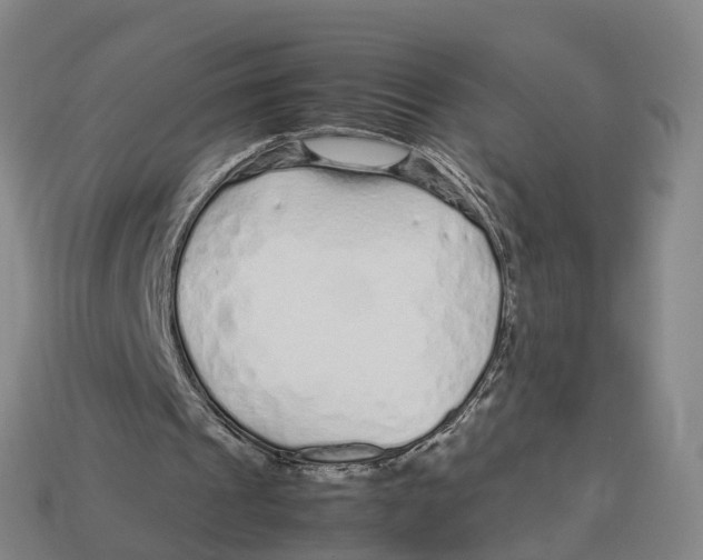 X0000113090241200909251016