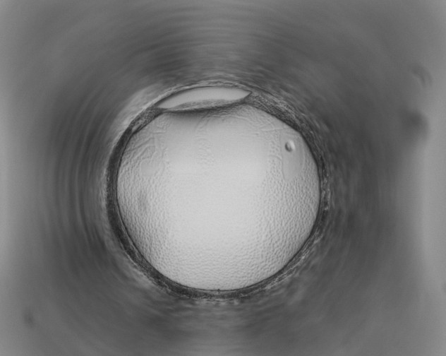 X0000113090242200909251016