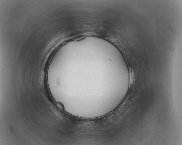 X0000113090243200909251016