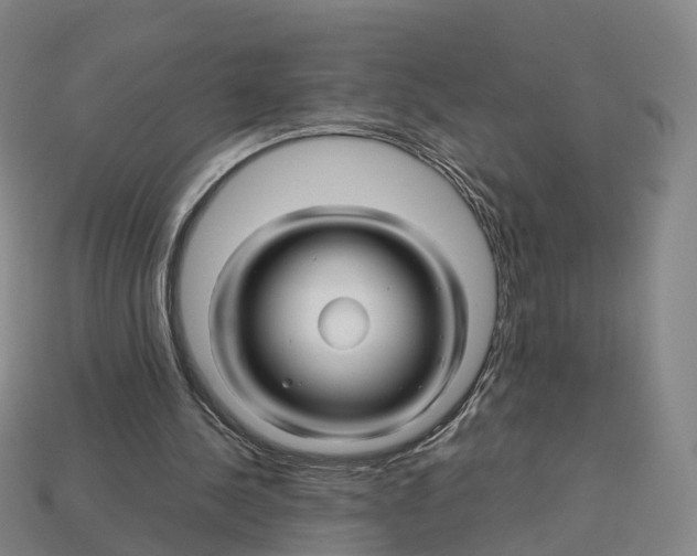 X0000113090244200909251016