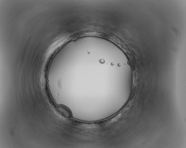 X0000113090245200909251016