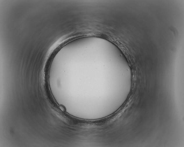 X0000113090246200909251016