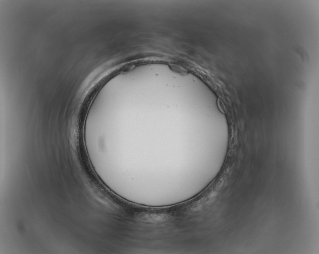 X0000113090247200909251016