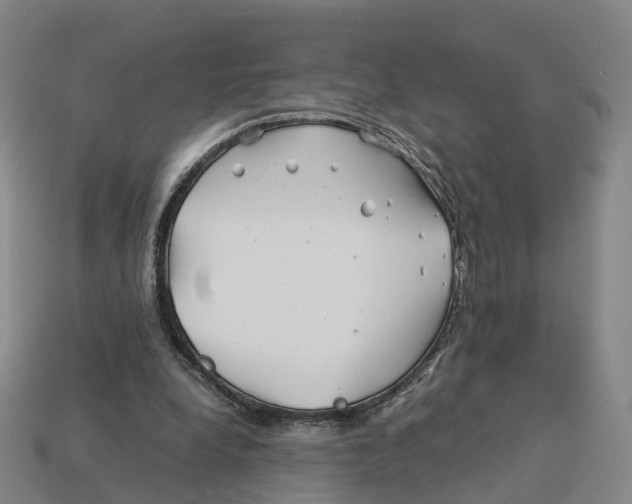 X0000113090248200909251016