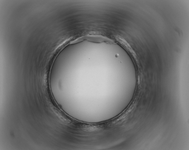 X0000113090249200909251016