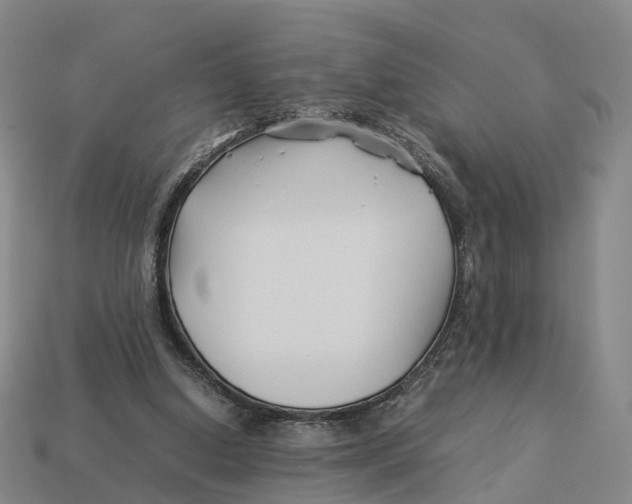 X0000113090250200909251016