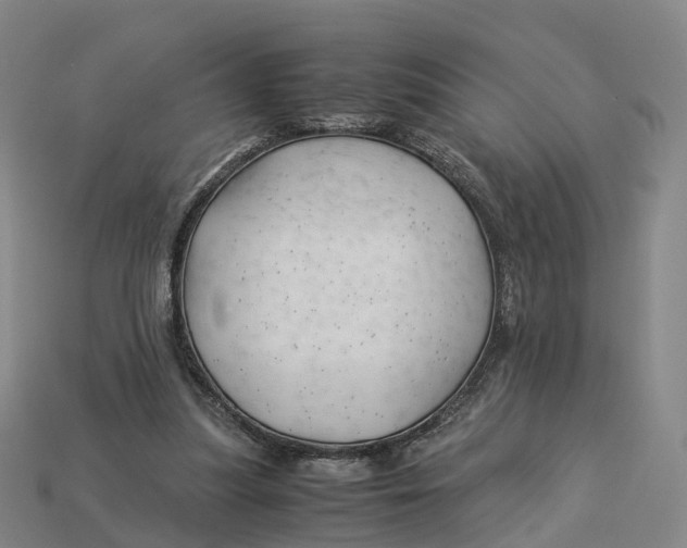 X0000113090251200909251016