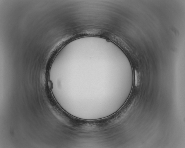 X0000113090252200909251016