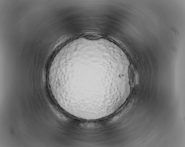 X0000113090253200909251016