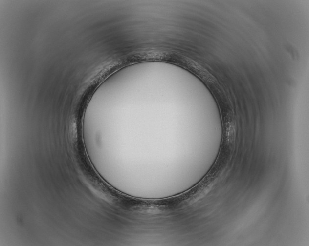 X0000113090254200909251016