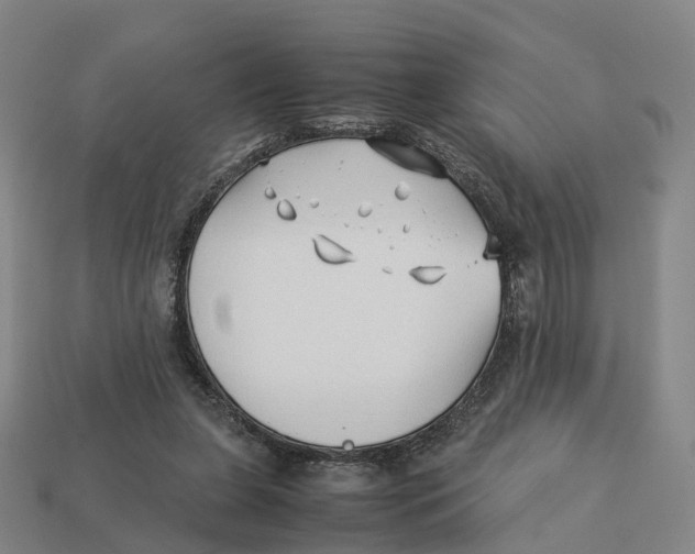 X0000113090255200909251016