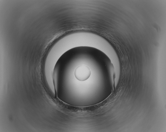X0000113090256200909251016
