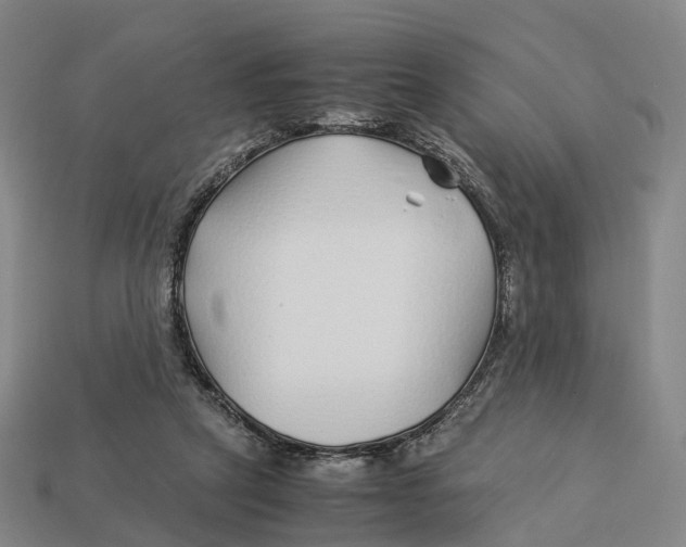 X0000113090257200909251016