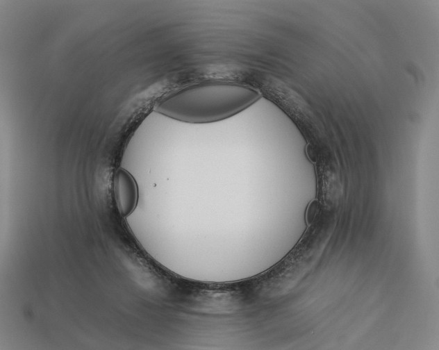 X0000113090260200909251016