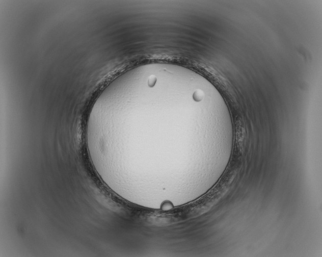 X0000113090261200909251016