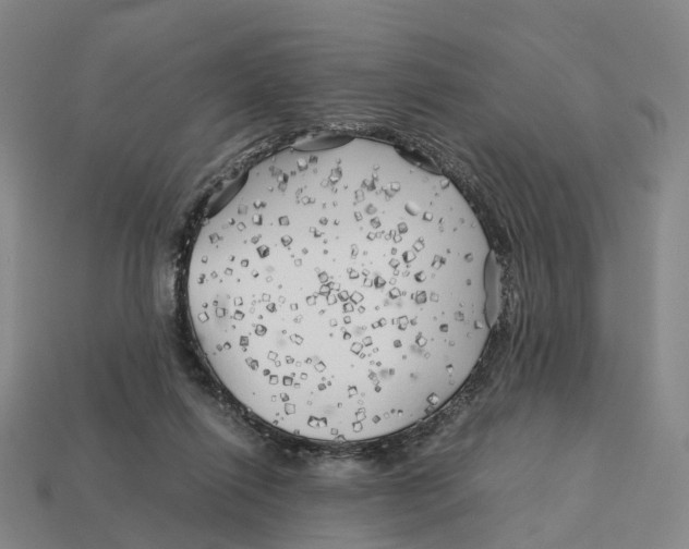 X0000113090262200909251016