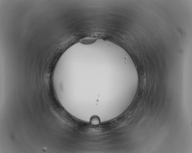 X0000113090263200909251016