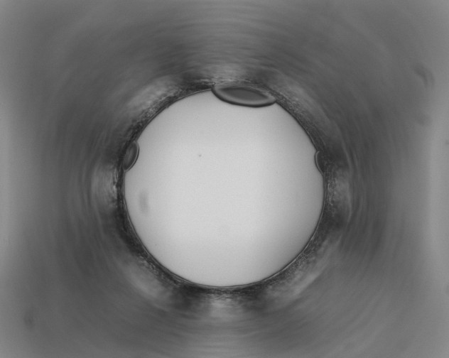 X0000113090264200909251016