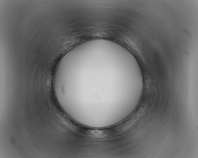 X0000113090265200909251016