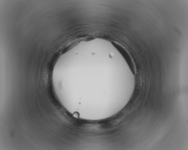 X0000113090266200909251016