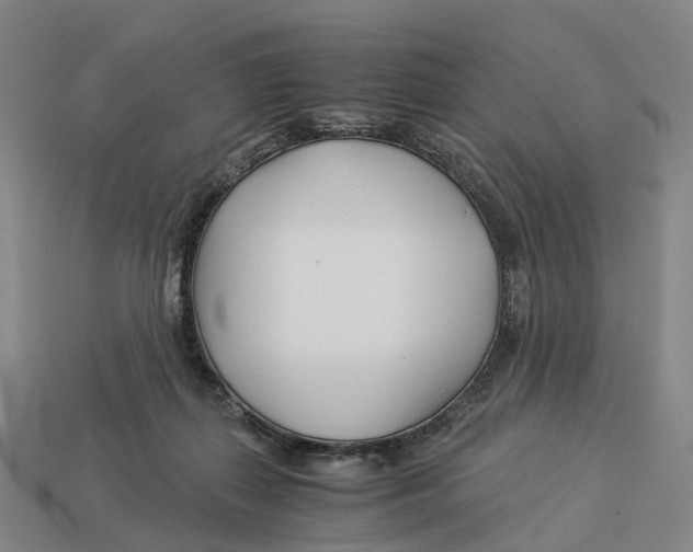 X0000113090267200909251016