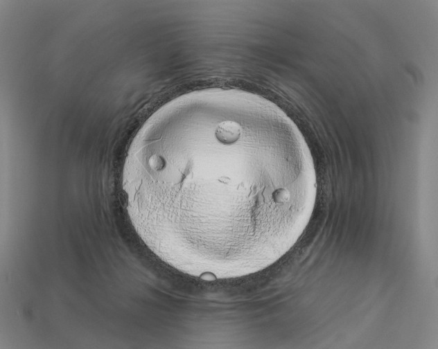 X0000113090268200909251016