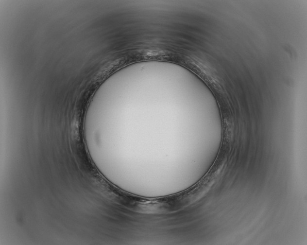 X0000113090269200909251016