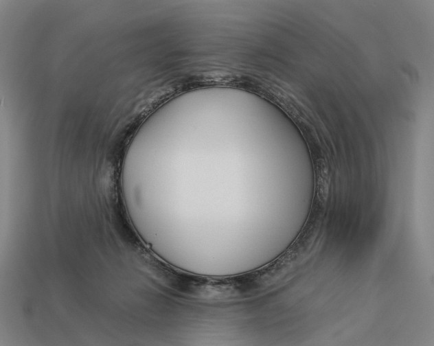 X0000113090270200909251016