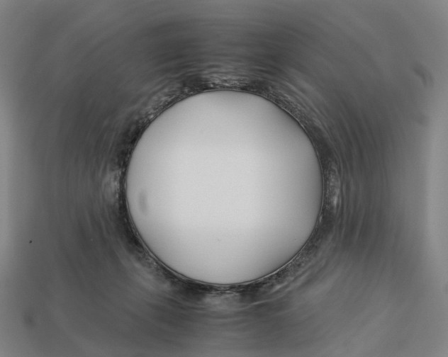 X0000113090271200909251016