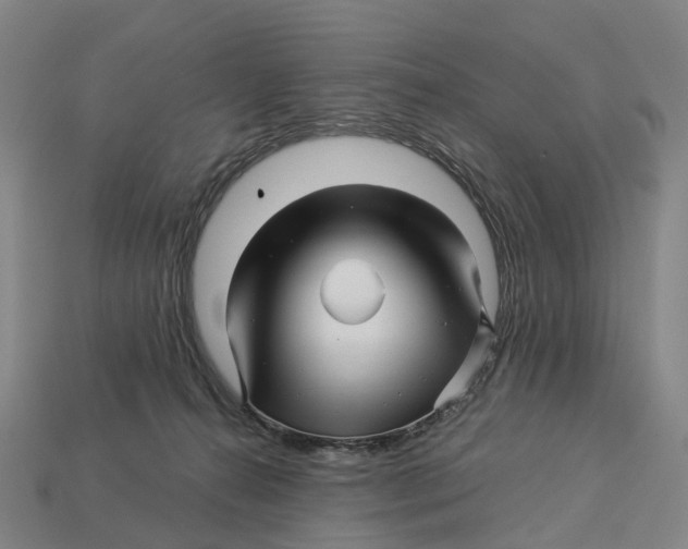 X0000113090272200909251016