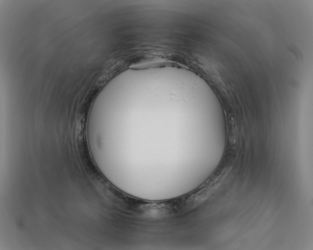X0000113090273200909251016