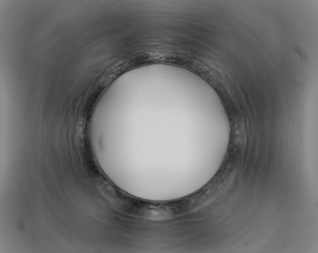 X0000113090275200909251016