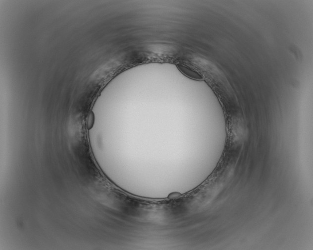 X0000113090276200909251016