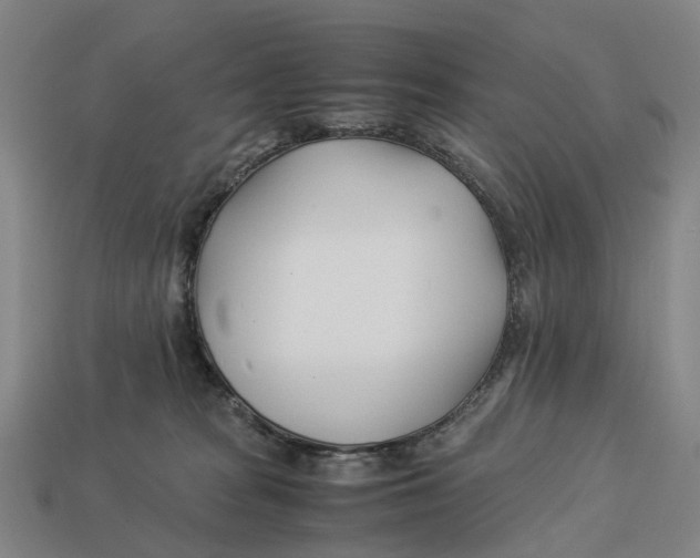 X0000113090277200909251016